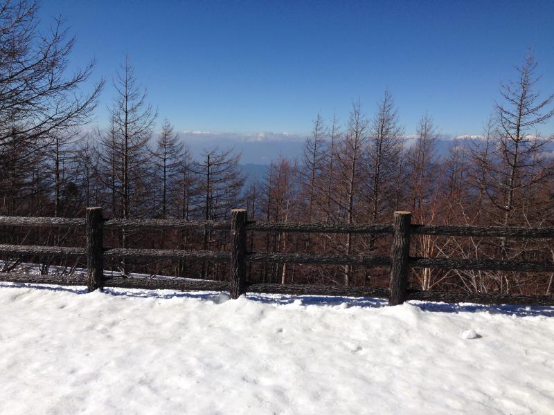 富士山は４合目まで行けました。